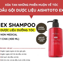 Dầu gội giảm rụng tóc phục hồi hư tổn aishitoto ex shampoo