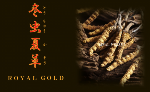 Đông trùng hạ thảo tohchukasou royal gold