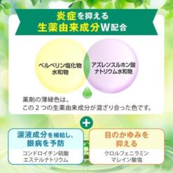 Nước Nhỏ Mắt Rohto Fresh Green Water B