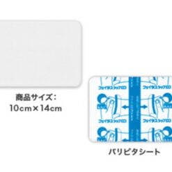 Miếng Dán Lạnh Giảm Đau Xương Khớp Salonpas Hisamitsu Feitas Hộp 10 Miếng