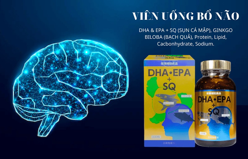 Review Các Loại DHA Của Nhật Tốt Nhất Hiện Nay Viên uống dầu cá bổ sung DHA & EPA SQ Nichiei Bussan 330 viên
