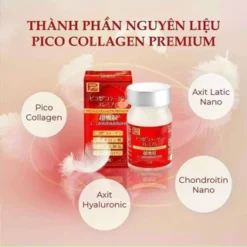 Viên Uống Collagen Pico Premium Ribeto Shoji 300mg 75 Viên Viên Uống Collagen Pico Premium Ribeto Shoji 300mg 75 Viên